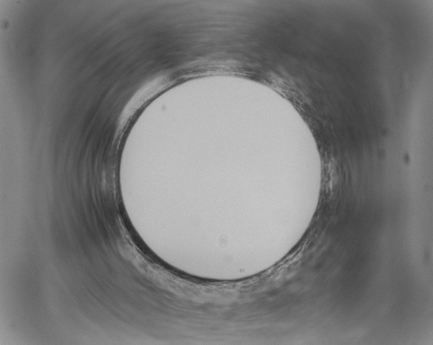 X0000060570004200512011719