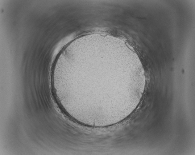 X0000060570006200512011719