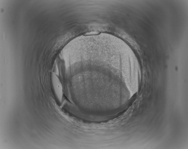 X0000060570009200512011719