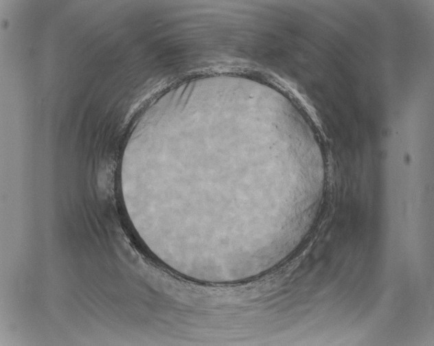 X0000060570010200512011719