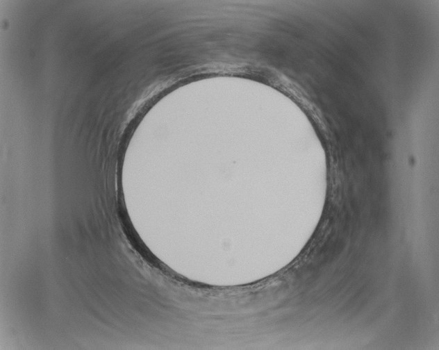 X0000060570011200512011719