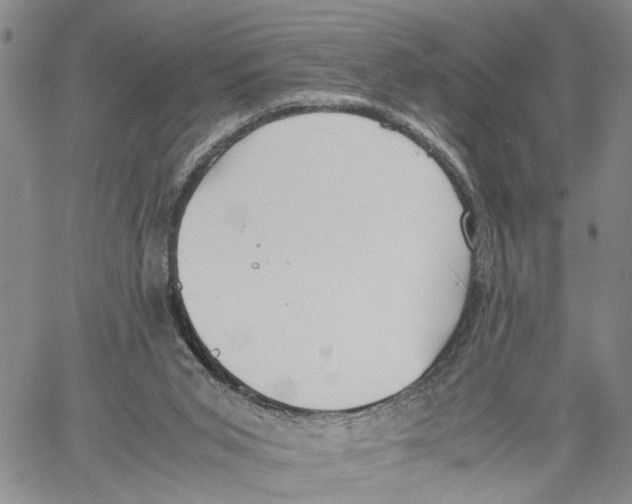X0000060570015200512011719
