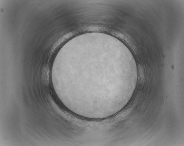 X0000060570016200512011719