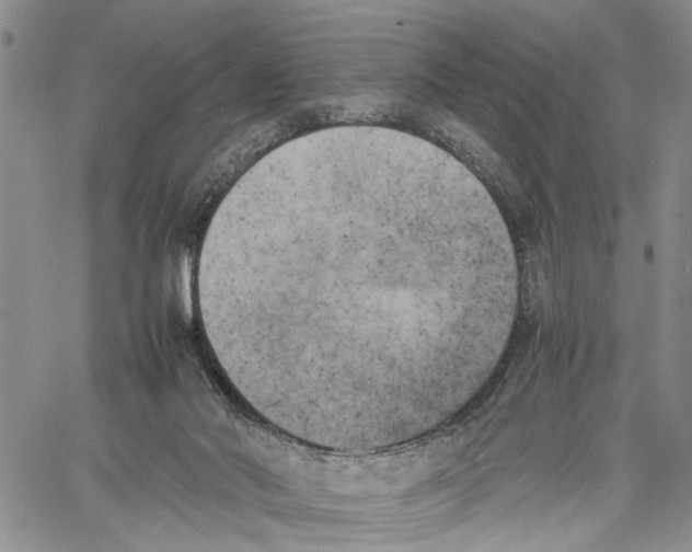 X0000060570022200512011719