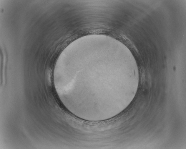 X0000060570026200512011719