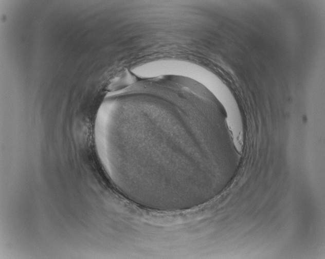 X0000060570029200512011719