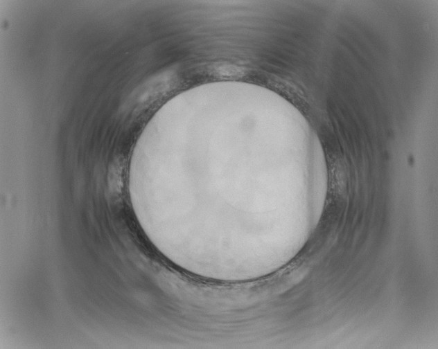 X0000060570032200512011719