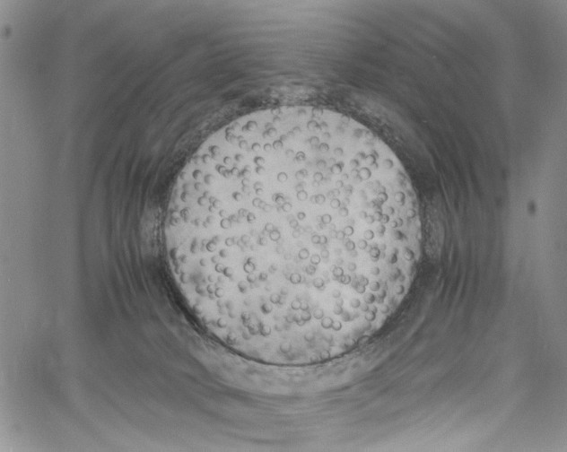 X0000060570034200512011719