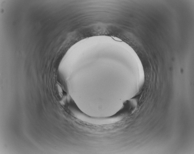 X0000060570035200512011719