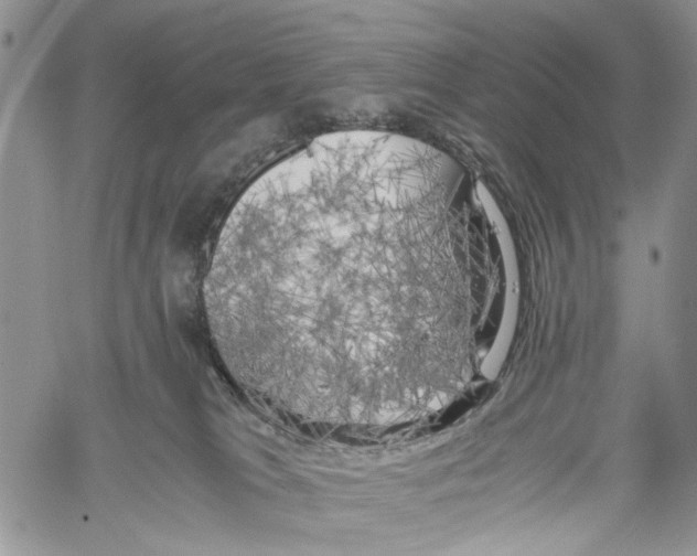X0000060570037200512011719