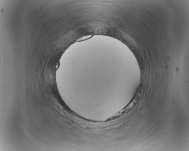 X0000060570039200512011719