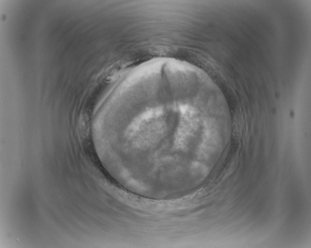 X0000060570043200512011718