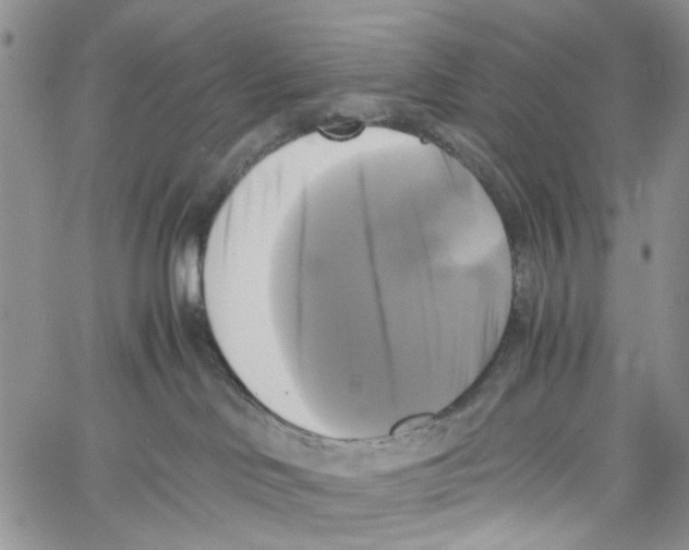 X0000060570046200512011718