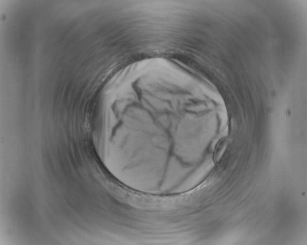 X0000060570048200512011718
