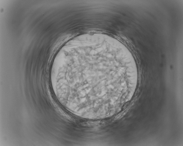 X0000060570049200512011718