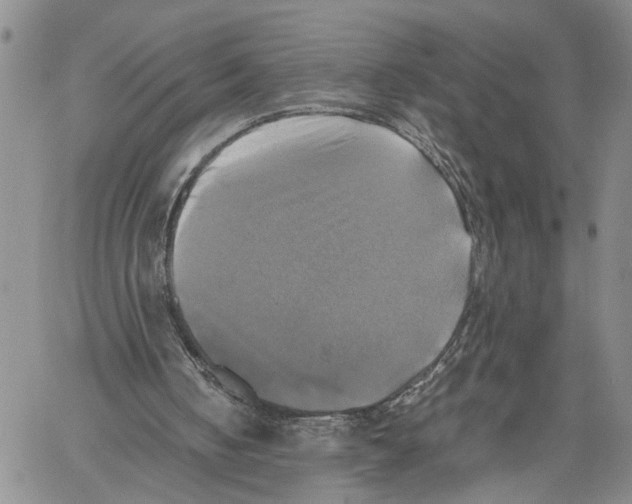 X0000060570050200512011718