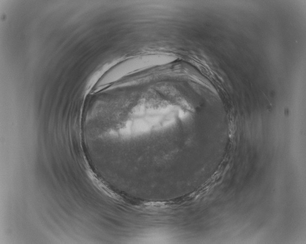 X0000060570052200512011718