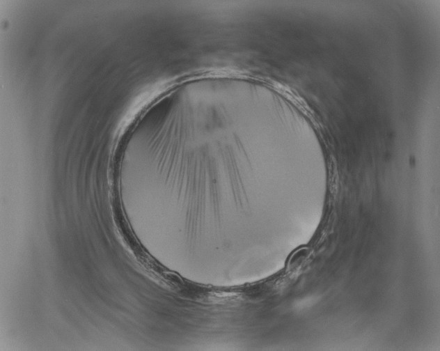X0000060570055200512011718
