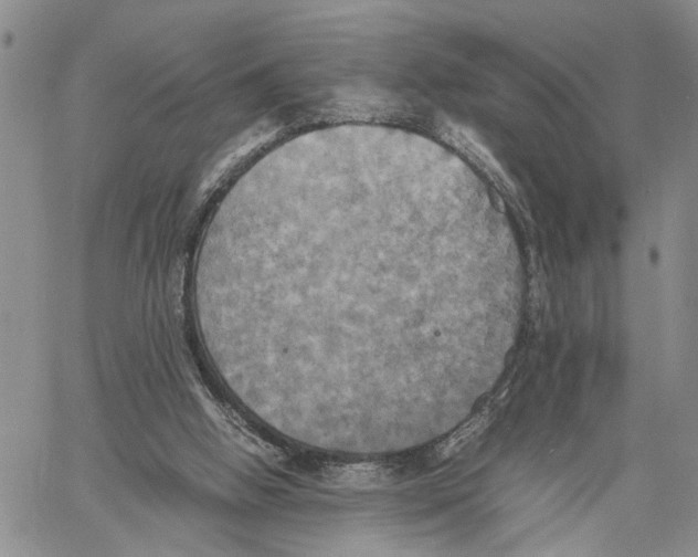 X0000060570058200512011718