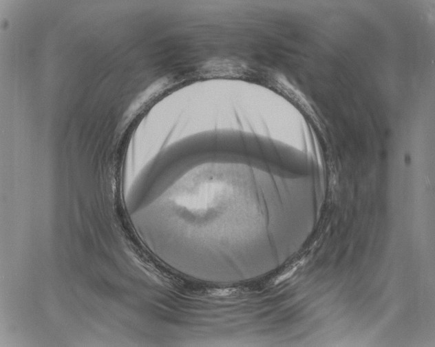 X0000060570059200512011718