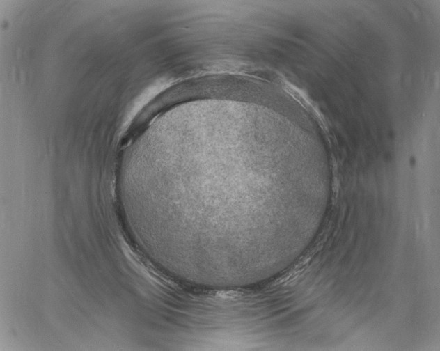 X0000060570060200512011718