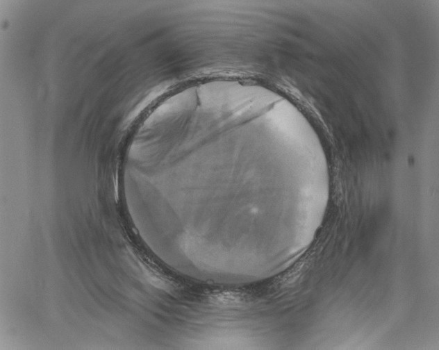 X0000060570062200512011718