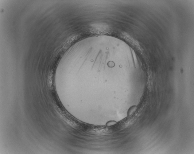 X0000060570065200512011718