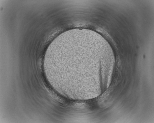 X0000060570066200512011718