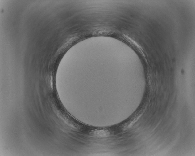 X0000060570067200512011718