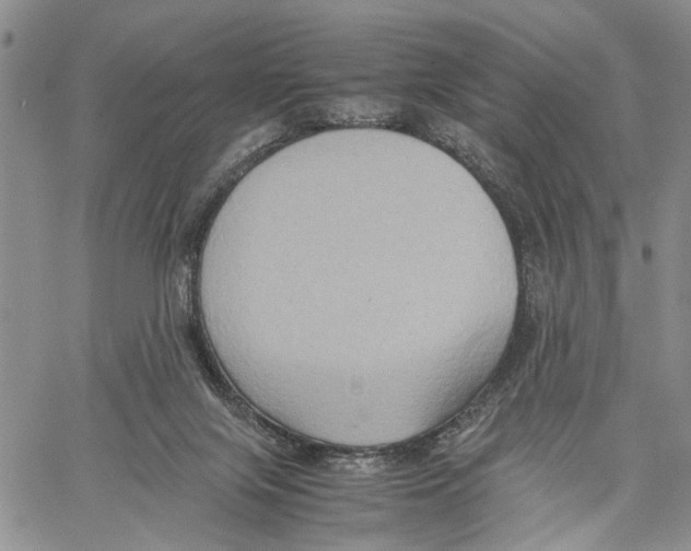 X0000060570071200512011718