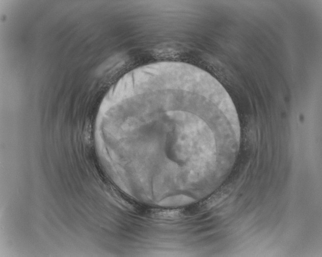 X0000060570081200512011718