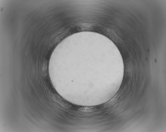 X0000060570082200512011718