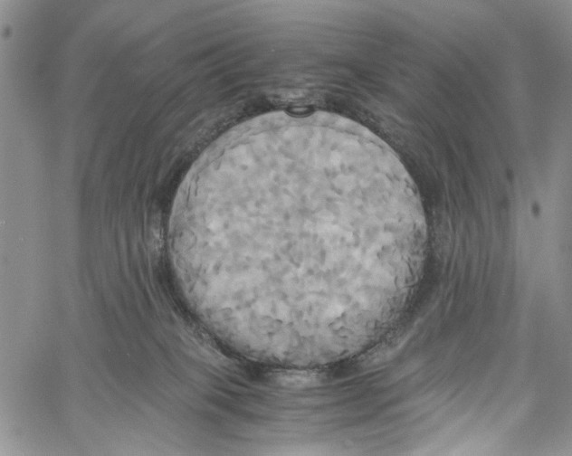 X0000060570085200512011718