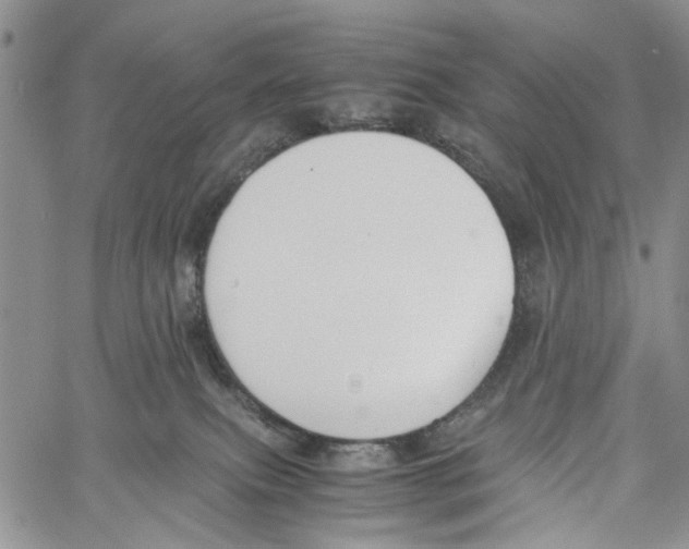 X0000060570087200512011718