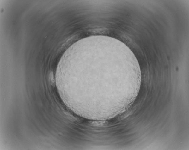 X0000060570089200512011718