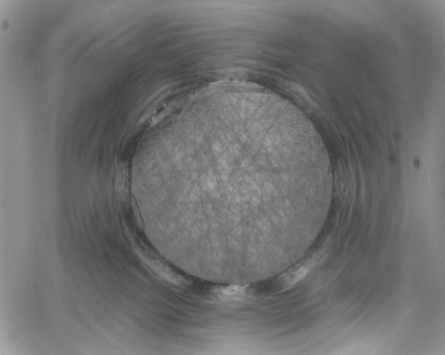 X0000060570092200512011718