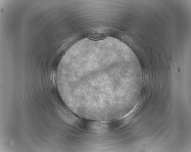 X0000060570094200512011718