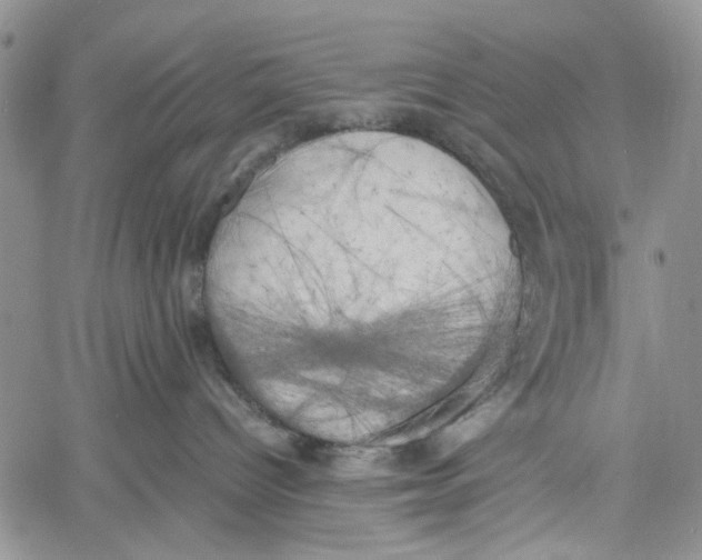 X0000060570096200512011718