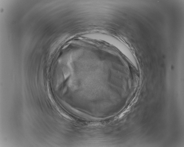 X0000060570097200512011718