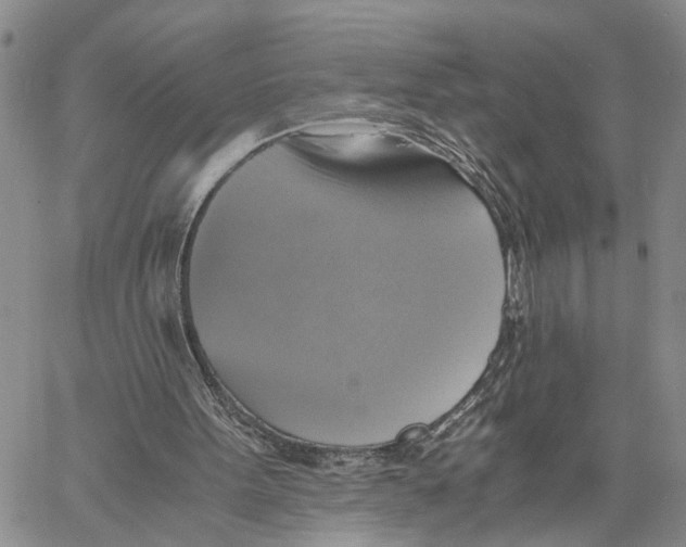 X0000060570099200512011717