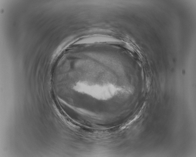 X0000060570101200512011717