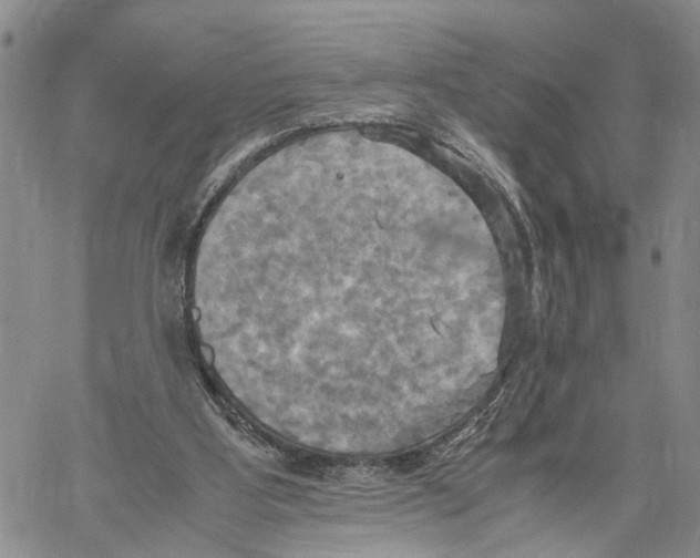 X0000060570107200512011717