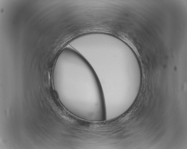X0000060570109200512011717