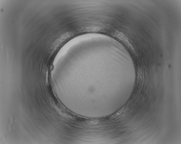 X0000060570110200512011717