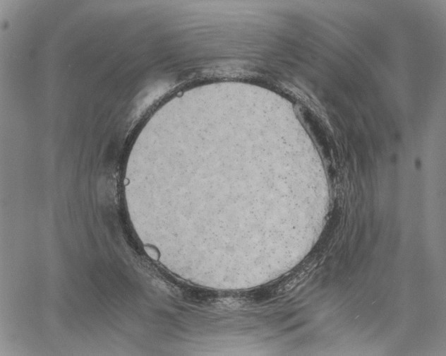 X0000060570111200512011717