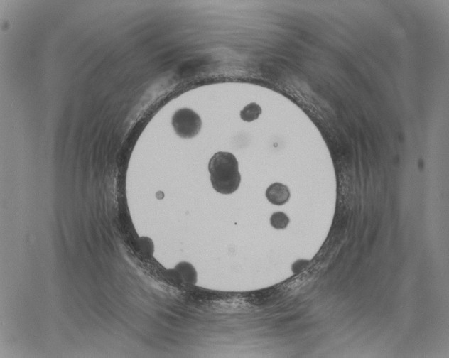 X0000060570112200512011717