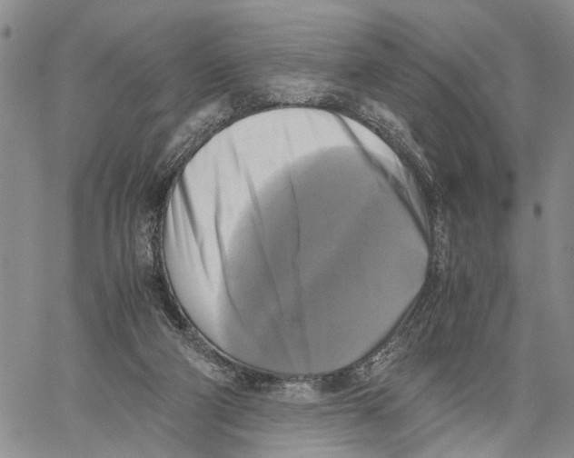 X0000060570114200512011717