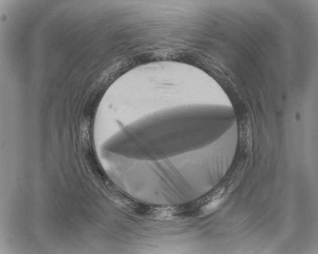 X0000060570127200512011717