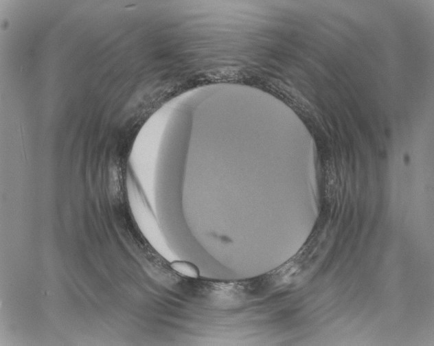 X0000060570130200512011717