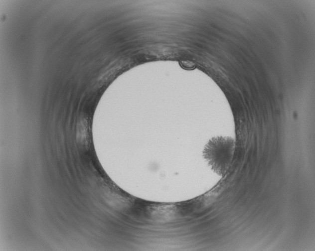 X0000060570132200512011717